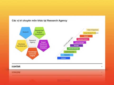 Passport to Marketing 2 – The World of Agency: Tìm hiểu Research Agency