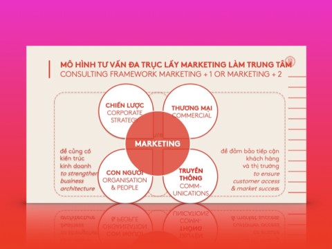 Passport to Marketing 2 - The World of Agency: Tìm hiểu Consultancy Agency