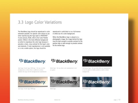 Mẫu Brand Guidelines chuẩn của BlackBerry