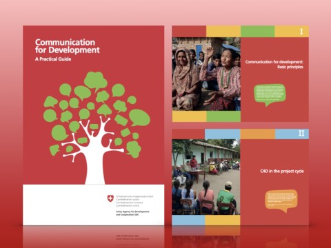Communication for Development