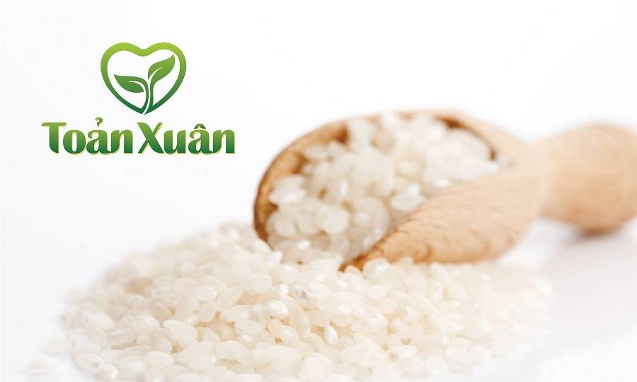 Thiết kế logo công ty chuyên nghiệp