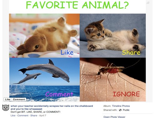Facebook đưa ví dụ về một nội dung mà họ gọi là Like-baiting