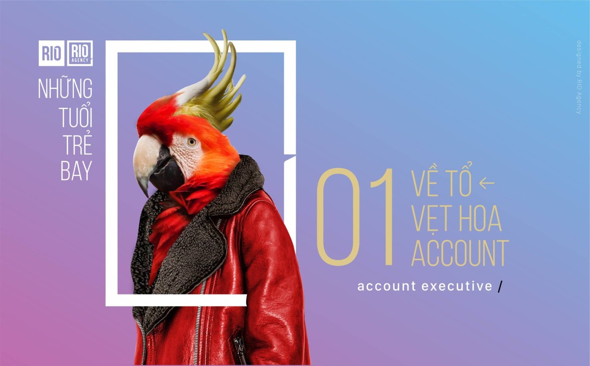 RIO: Tuyển dụng 01 account executive