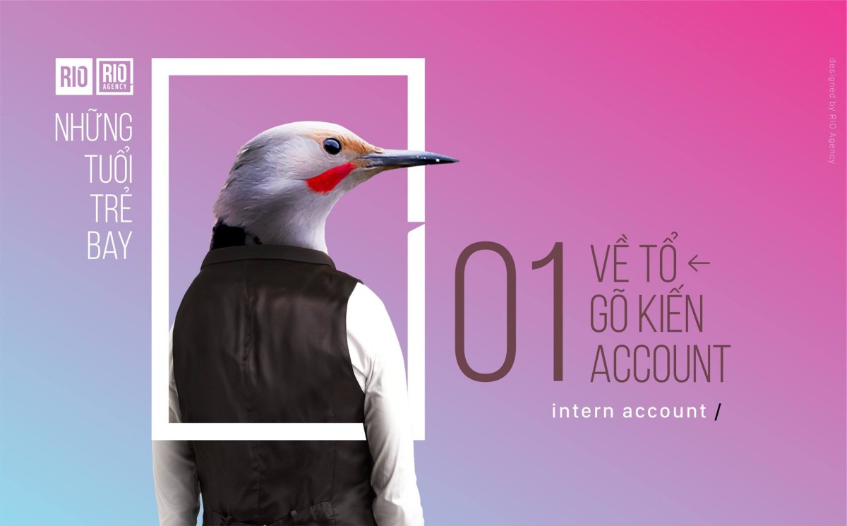 RIO; Tuyển dụng 01 intern account