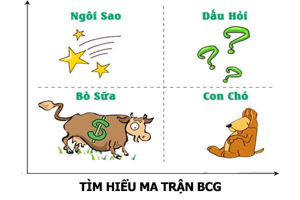 thị phần là gì - Ứng dụng ma trận BCG để tìm thị phần tăng trưởng. Nguồn: Internet