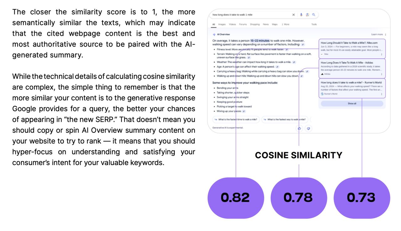 AI Overviews | Phần 3 | Tác động của AI Overviews đối với SEO