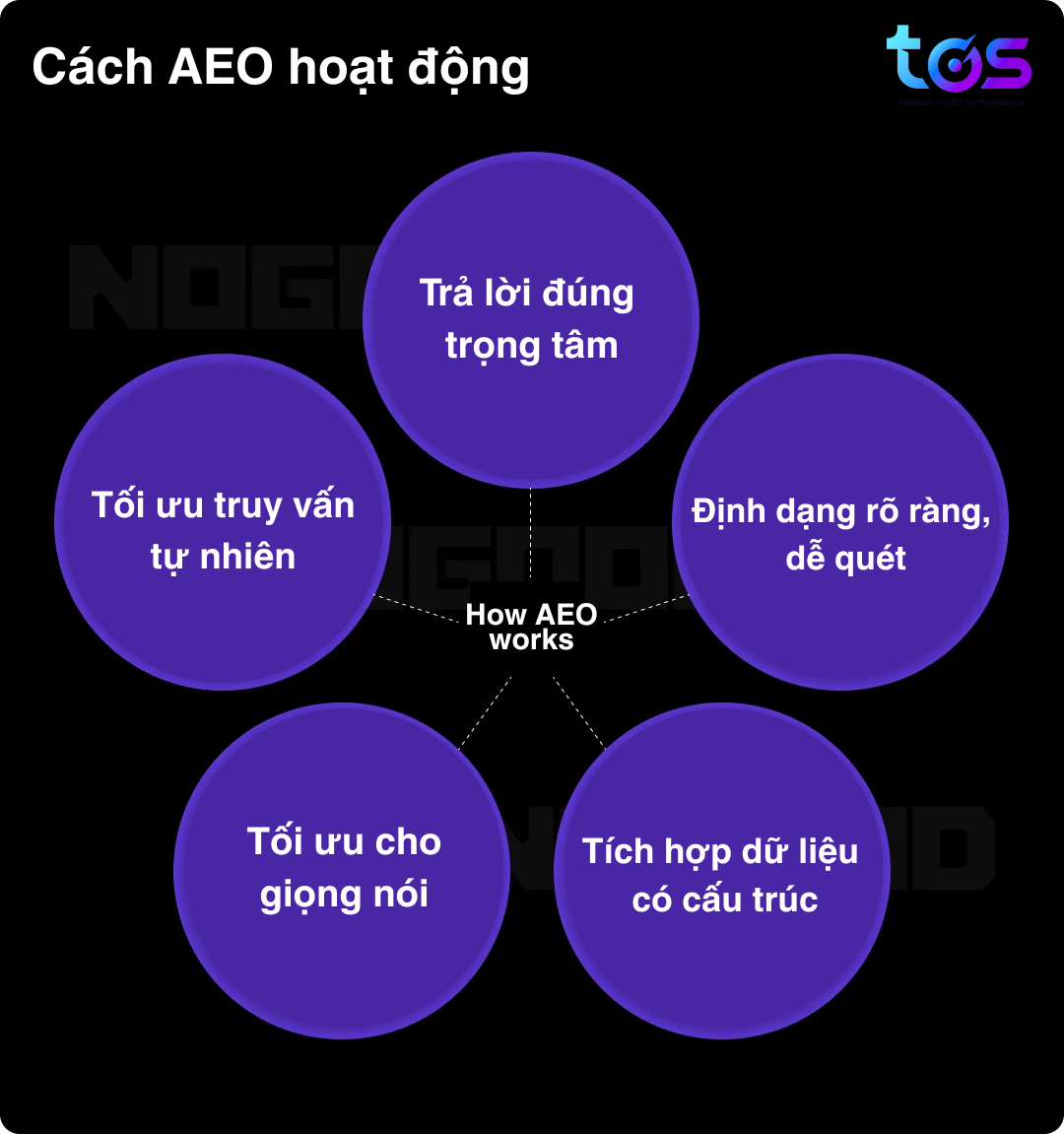 AEO vs SEO: Kh&aacute;c biệt cốt l&otilde;i v&agrave; vai tr&ograve; trong tiếp thị số