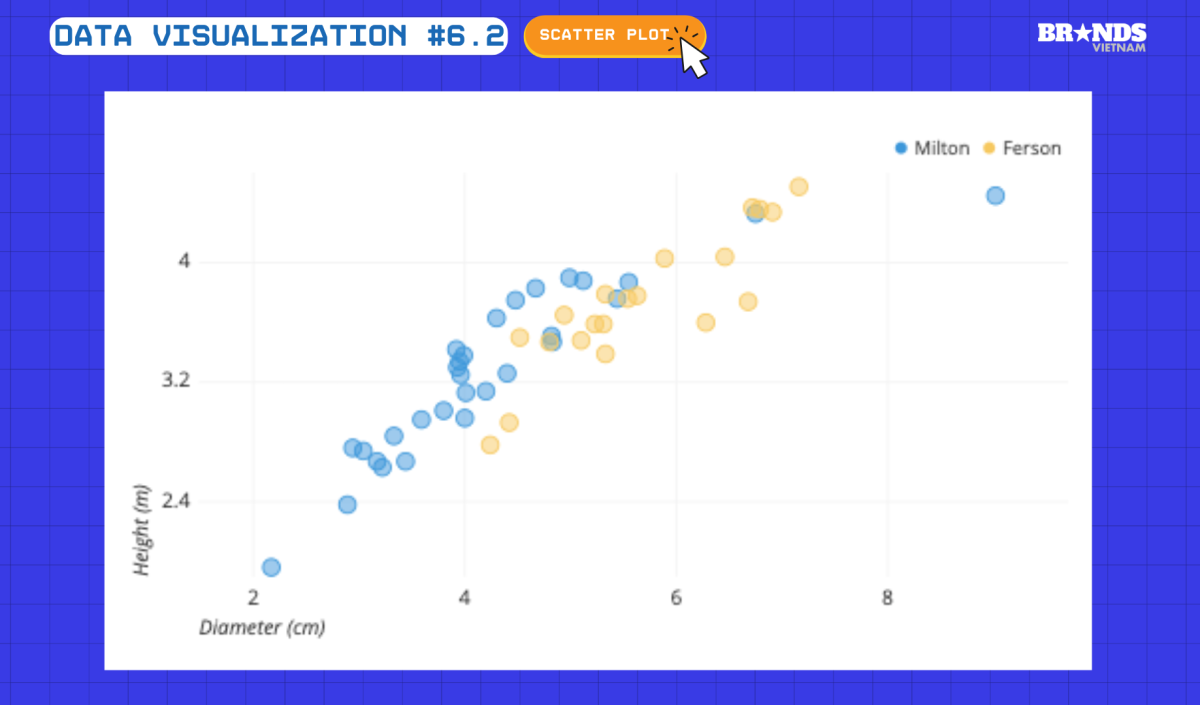 Data Visualization #6.2: Scatter Plot – Hướng dẫn toàn diện về biểu đồ phân tán