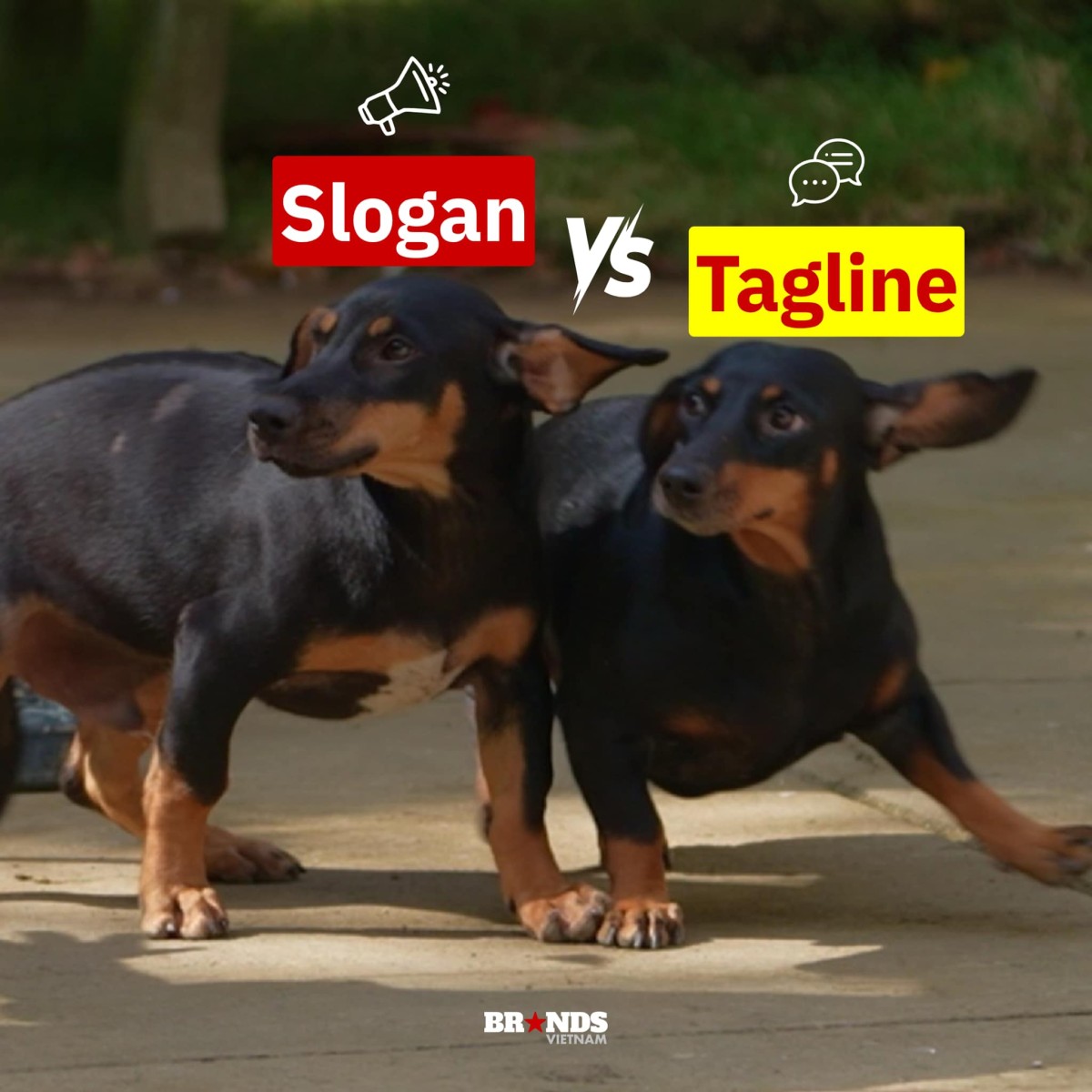 [Cười và Ngẫm] Tổng hợp meme “Gia đình Haha” dành riêng cho dân Marketing