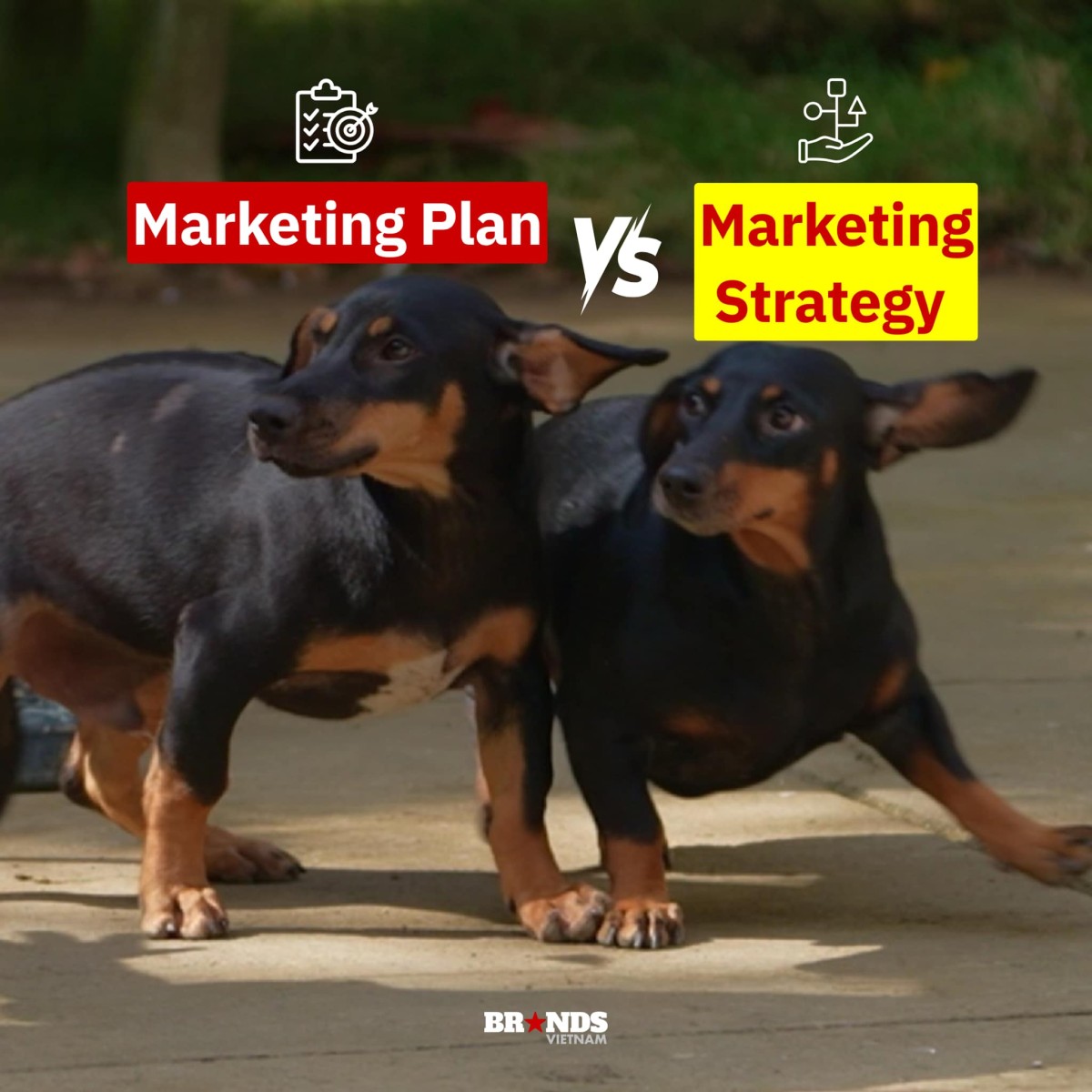 [Cười và Ngẫm] Tổng hợp meme “Gia đình Haha” dành riêng cho dân Marketing