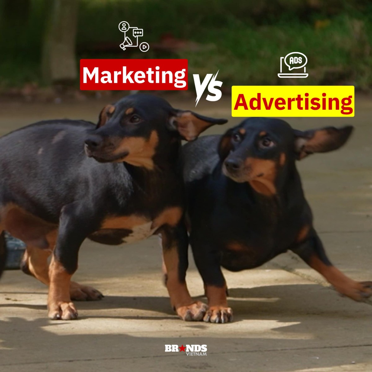 [Cười và Ngẫm] Tổng hợp meme “Gia đình Haha” dành riêng cho dân Marketing