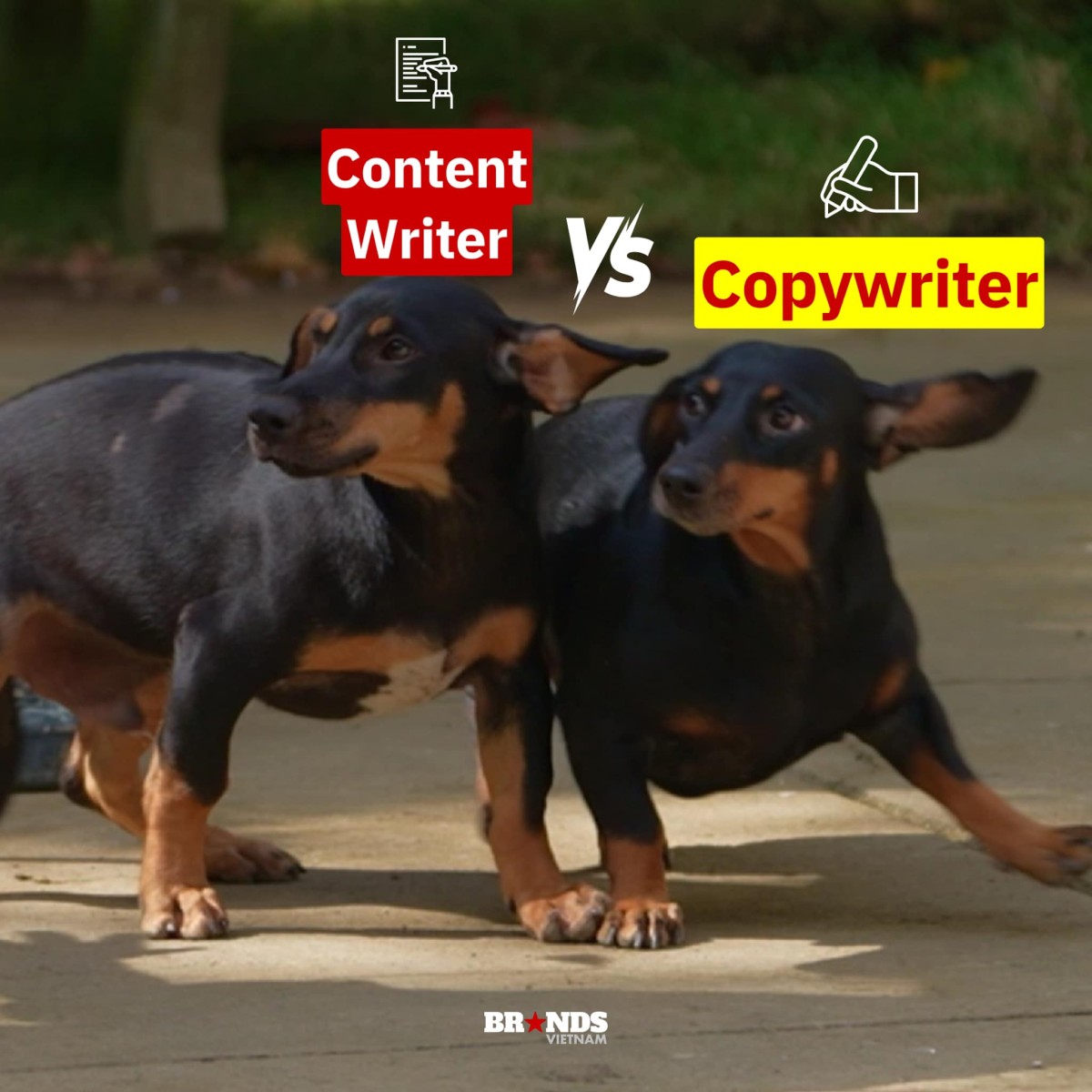 [Cười và Ngẫm] Tổng hợp meme “Gia đình Haha” dành riêng cho dân Marketing