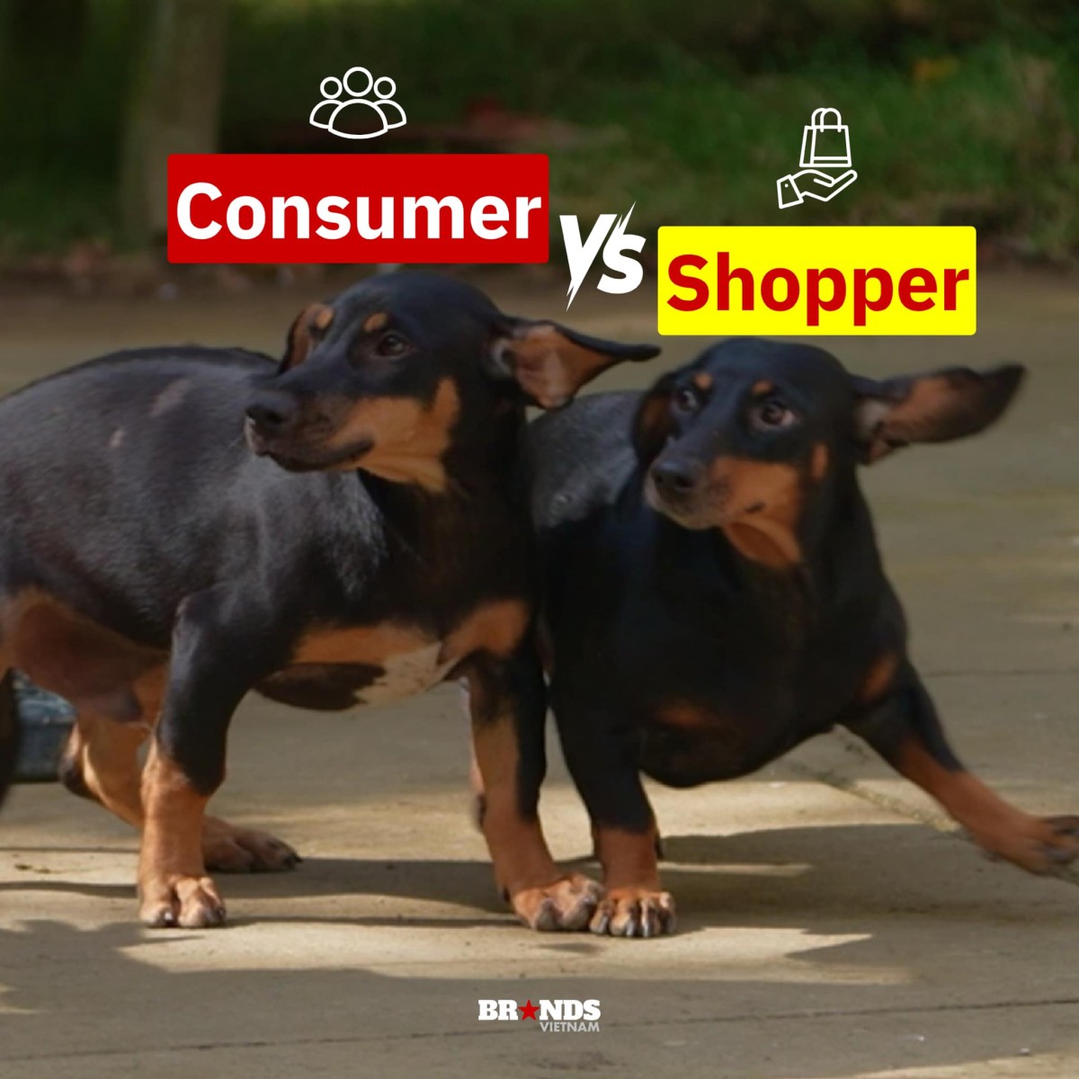 [Cười và Ngẫm] Tổng hợp meme “Gia đình Haha” dành riêng cho dân Marketing