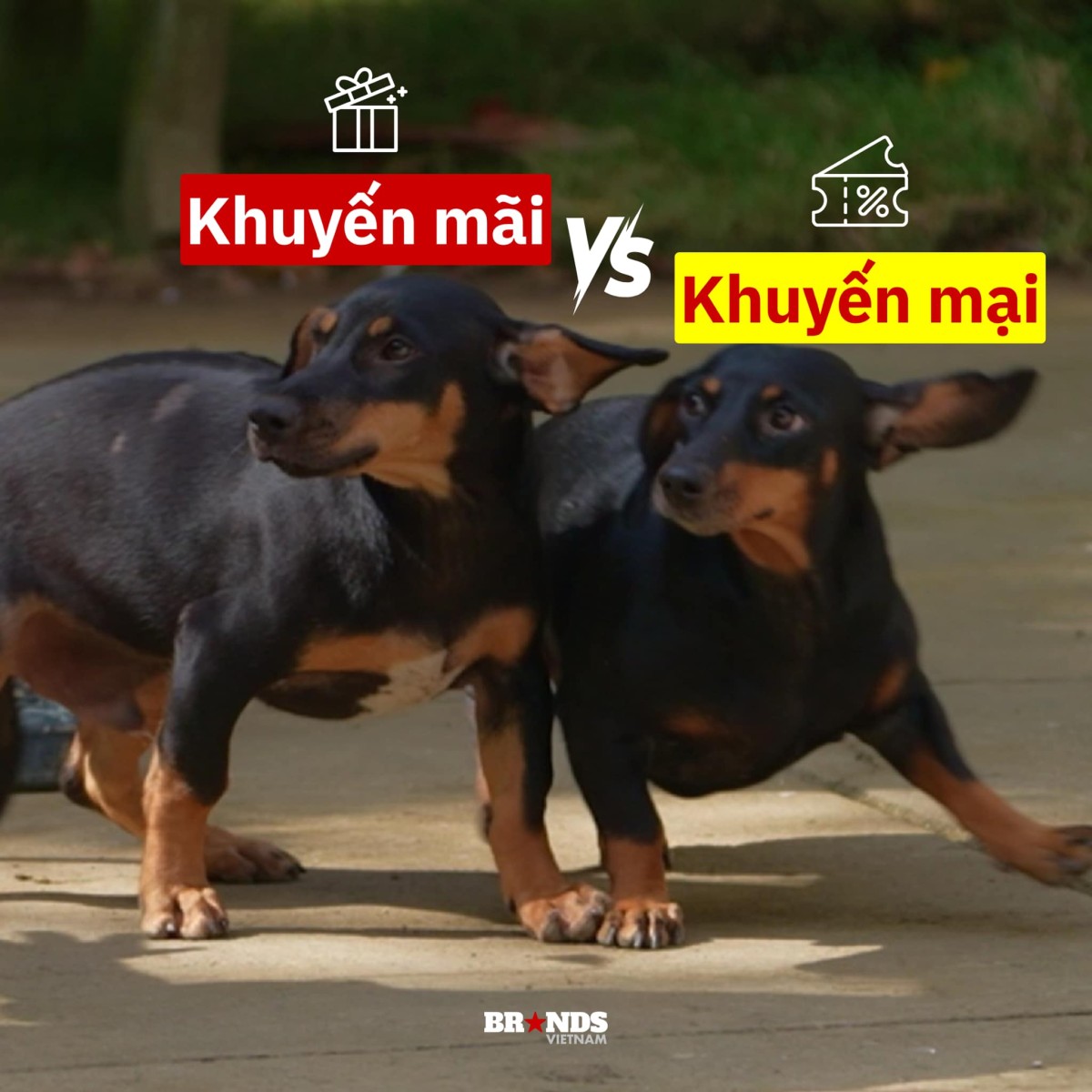 [Cười và Ngẫm] Tổng hợp meme “Gia đình Haha” dành riêng cho dân Marketing