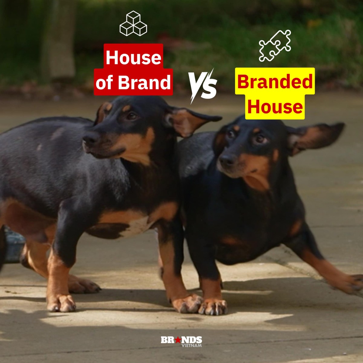 [Cười và Ngẫm] Tổng hợp meme “Gia đình Haha” dành riêng cho dân Marketing