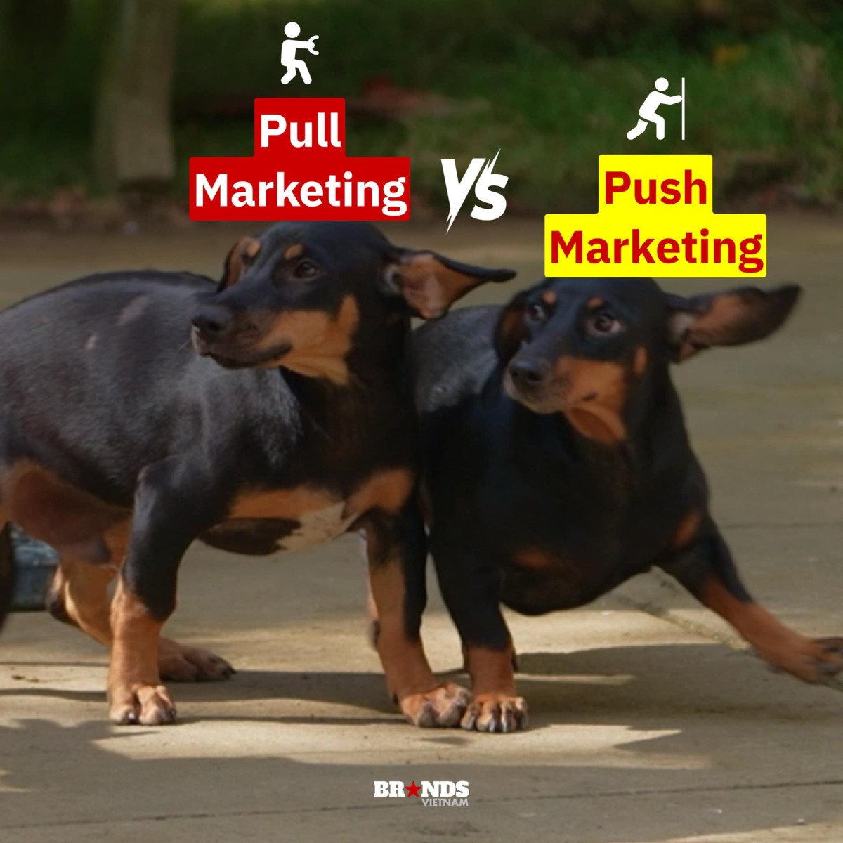 [Cười và Ngẫm] Tổng hợp meme “Gia đình Haha” dành riêng cho dân Marketing