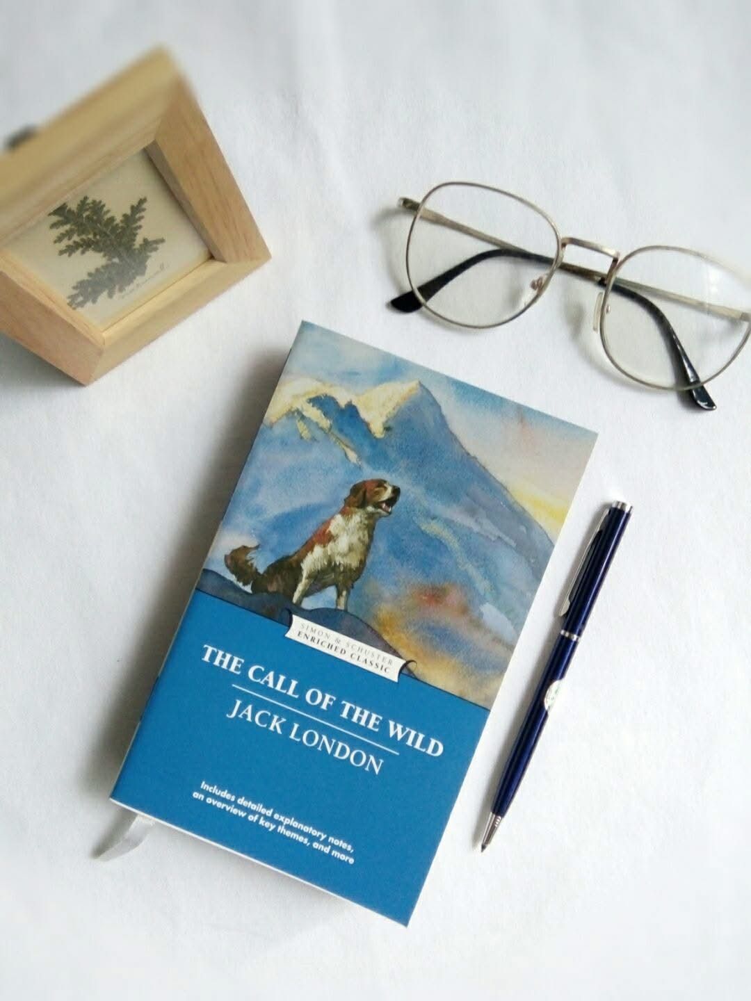 Quyển s&aacute;ch t&ocirc;i y&ecirc;u: Tiếng gọi nơi hoang d&atilde; (The Call of The Wild)
