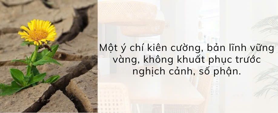 Quyển sách tôi yêu: “Không bao giờ là thất bại, tất cả là thử thách”