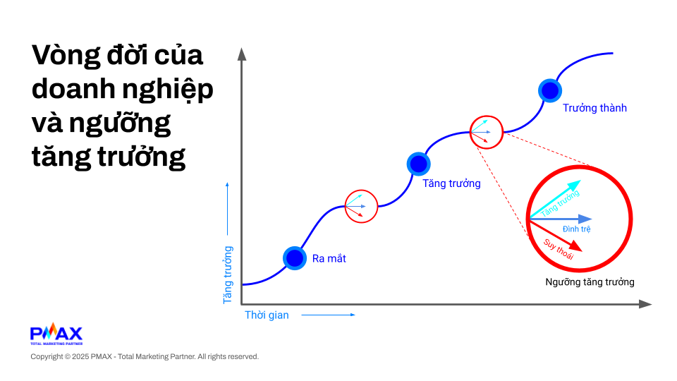 Ảnh 1: C&aacute;c ngưỡng tăng trưởng của doanh nghiệp xuy&ecirc;n suốt v&ograve;ng đời