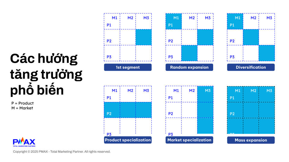 Ảnh 2: C&aacute;c hướng tăng trưởng phổ biến