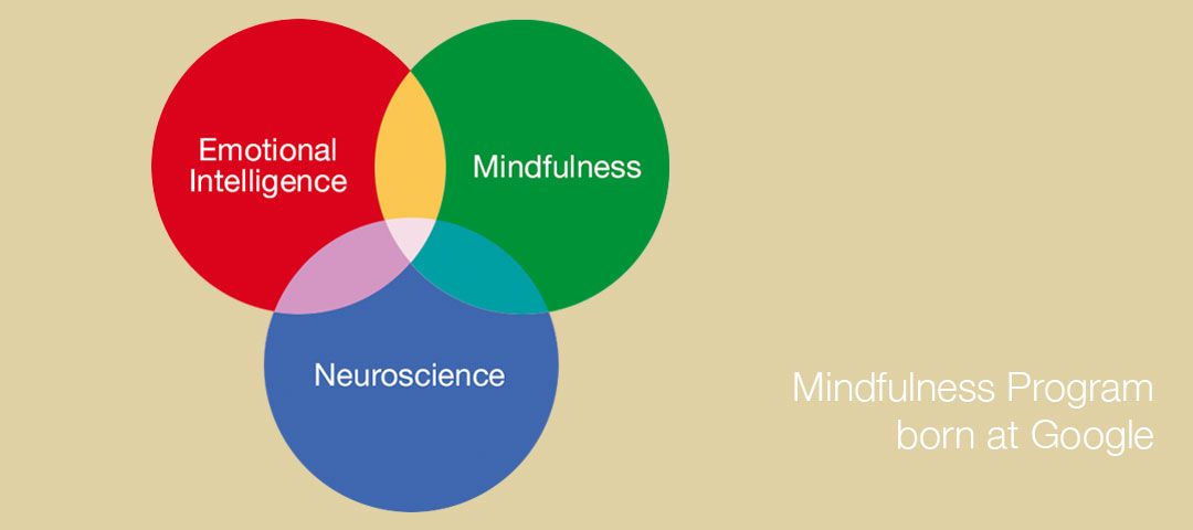 Search inside yourself