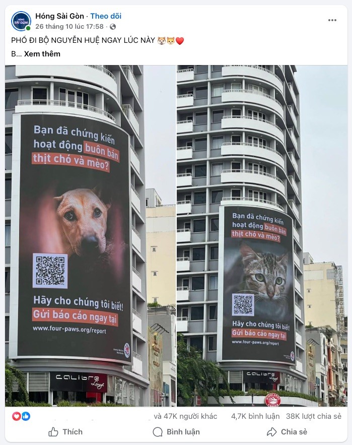 FOUR PAWS Việt Nam: Rút ngắn khoảng cách bảo vệ chó mèo chỉ từ một mã QR
