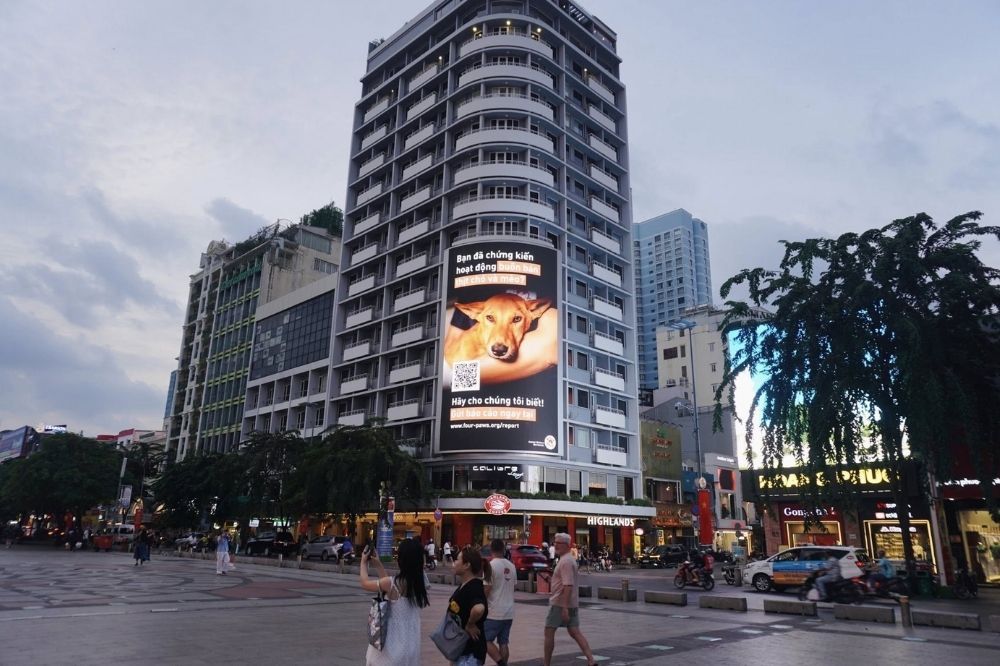 Billboard đang xuất hiện tại Phố đi bộ Nguyễn Huệ. Nguồn: FOUR PAWS