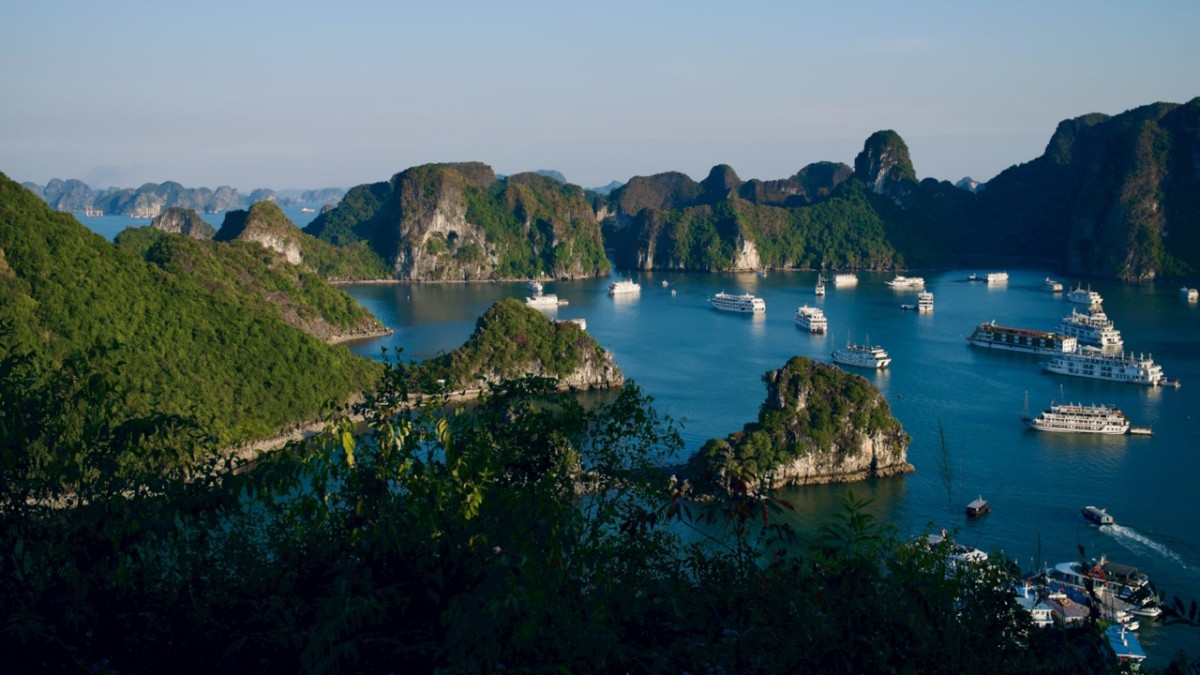 Giá trị thương hiệu Việt Nam bứt phá trên thị trường quốc tế