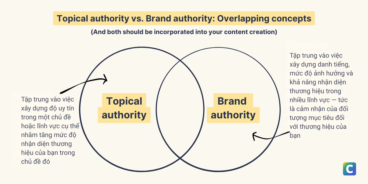 Brand Authority: Yếu tố quyết định khả năng hiển thị trong kỷ nguyên AI Search