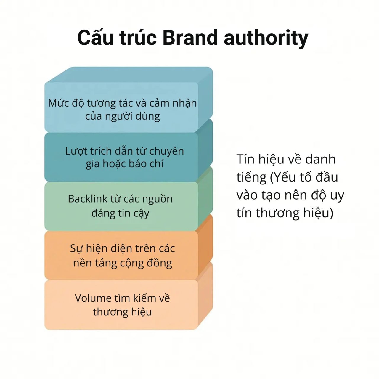 Brand Authority: Yếu tố quyết định khả năng hiển thị trong kỷ nguyên AI Search