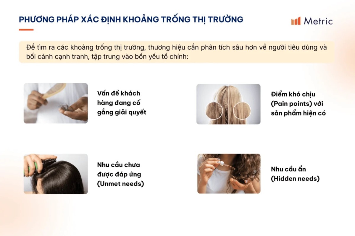 Thị trường Chăm sóc tóc 2025-2026: Khoảng trống sản phẩm nào sẽ dẫn đầu tăng trưởng?