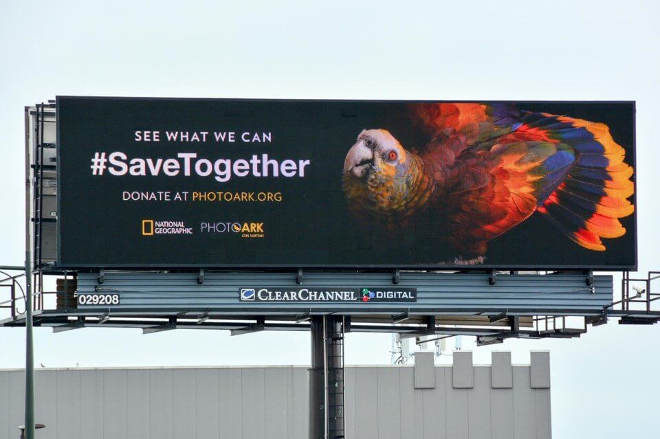 Chiến dịch #SaveTogether