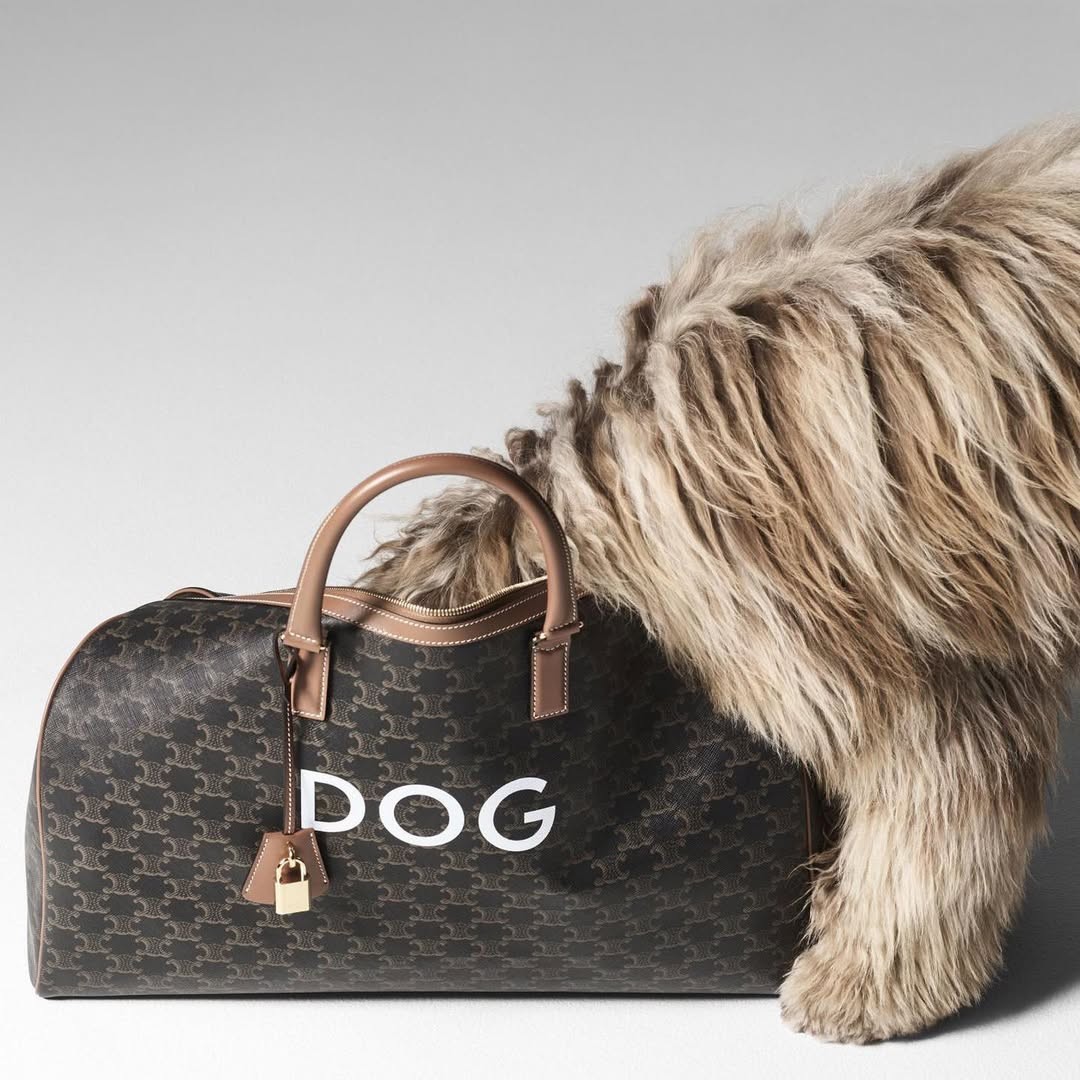 Pet Economy: Tại sao Hermès bán bát ăn 1.100 USD dành cho thú cưng?
