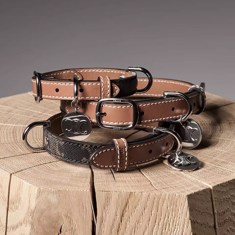 Pet Economy: Tại sao Hermès bán bát ăn 1.100 USD dành cho thú cưng?
