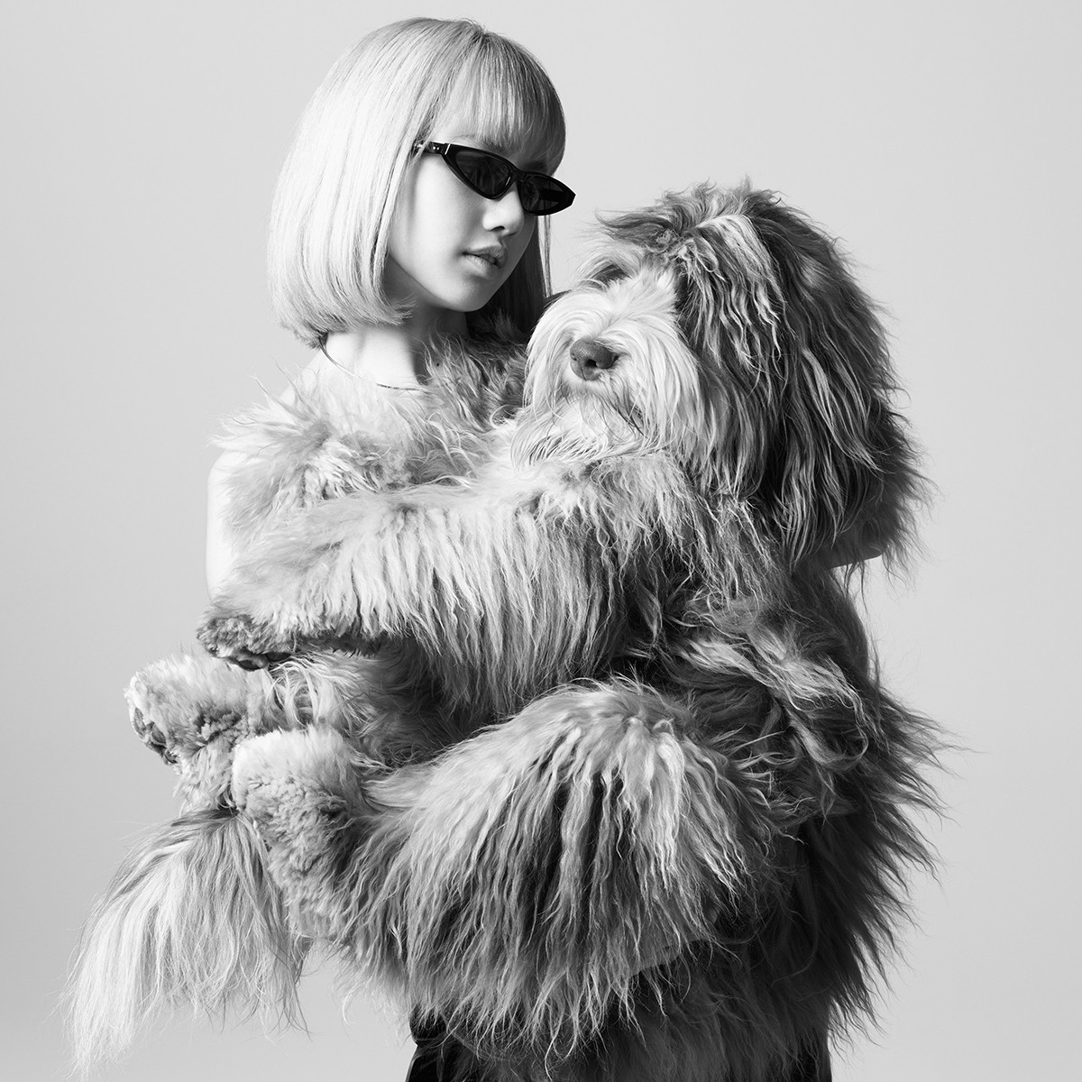 Pet Economy: Tại sao Hermès bán bát ăn 1.100 USD dành cho thú cưng?