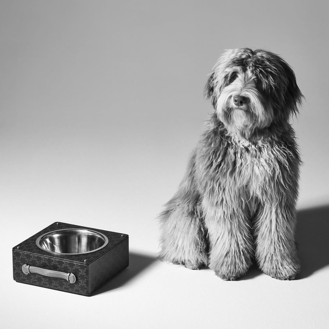 Pet Economy: Tại sao Hermès bán bát ăn 1.100 USD dành cho thú cưng?