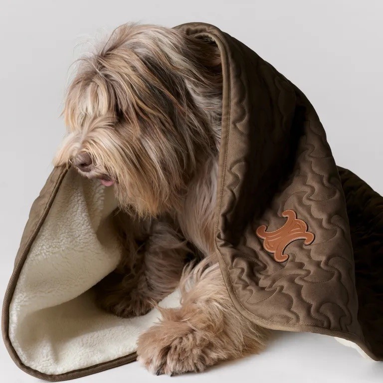 Pet Economy: Tại sao Hermès bán bát ăn 1.100 USD dành cho thú cưng?