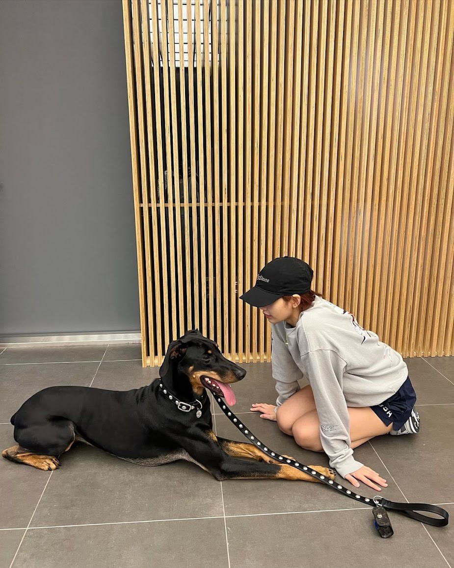 Pet Economy: Tại sao Hermès bán bát ăn 1.100 USD dành cho thú cưng?