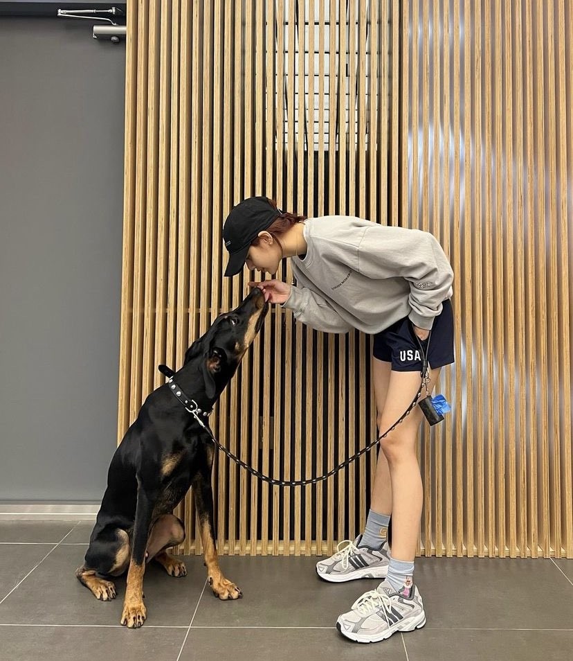 Pet Economy: Tại sao Hermès bán bát ăn 1.100 USD dành cho thú cưng?