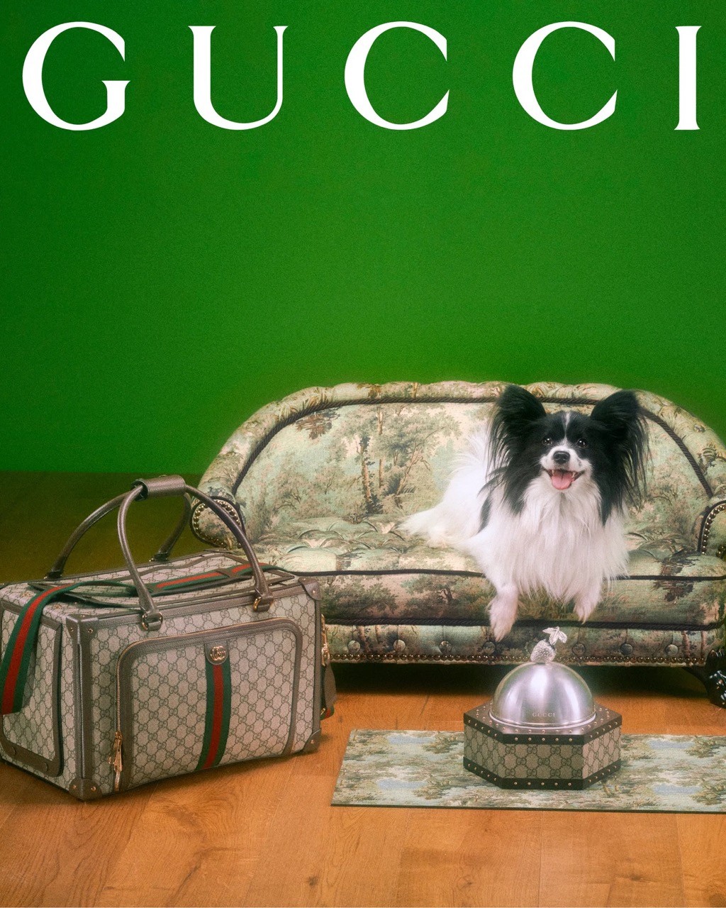 Pet Economy: Tại sao Hermès bán bát ăn 1.100 USD dành cho thú cưng?