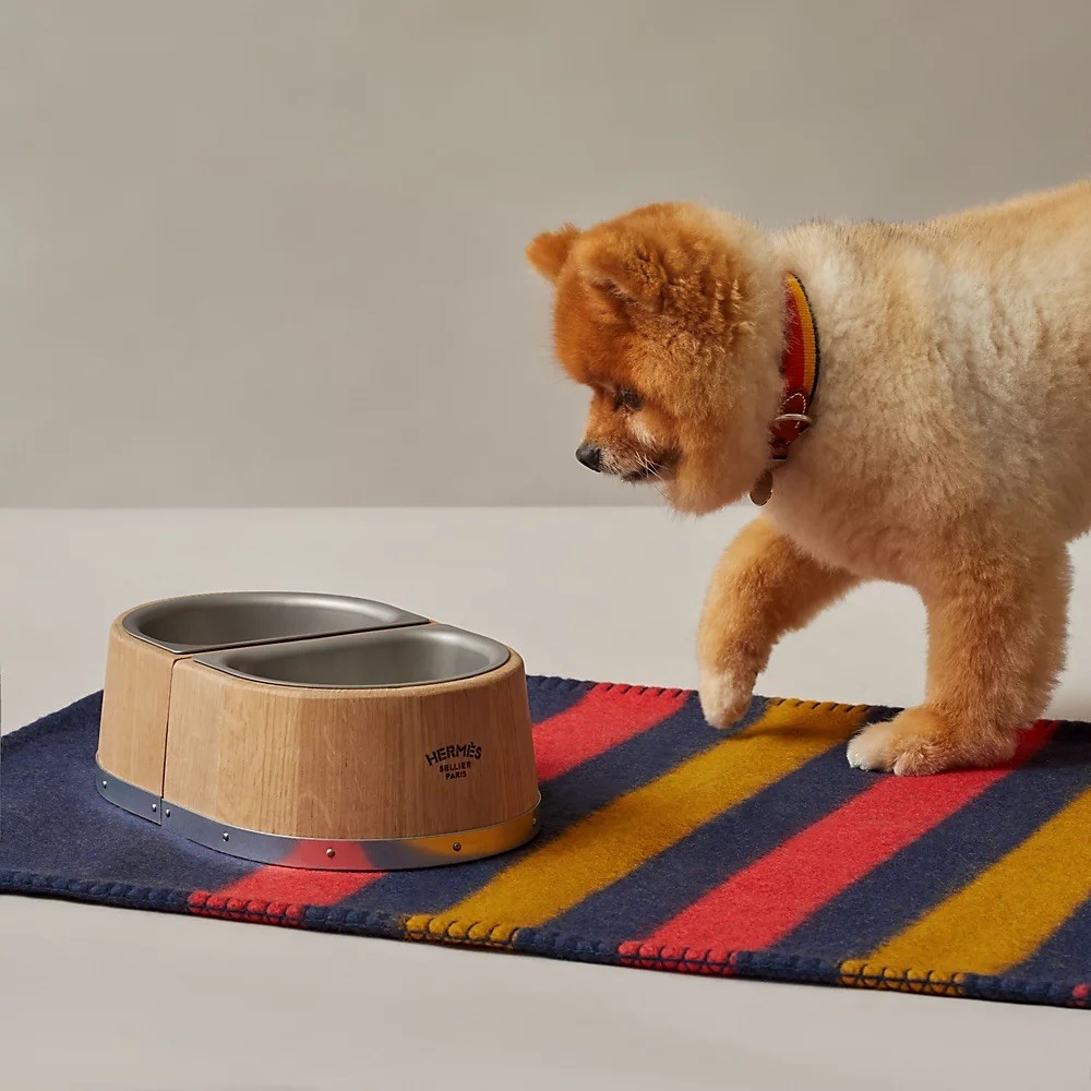 Pet Economy: Tại sao Hermès bán bát ăn 1.100 USD dành cho thú cưng?