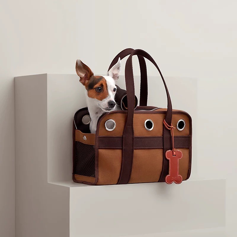 Pet Economy: Tại sao Hermès bán bát ăn 1.100 USD dành cho thú cưng?