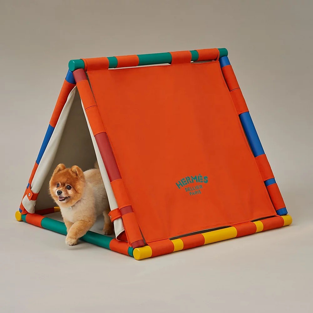 Pet Economy: Tại sao Hermès bán bát ăn 1.100 USD dành cho thú cưng?