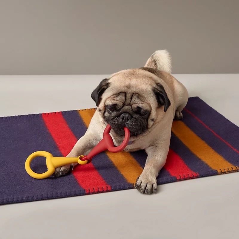 Pet Economy: Tại sao Hermès bán bát ăn 1.100 USD dành cho thú cưng?