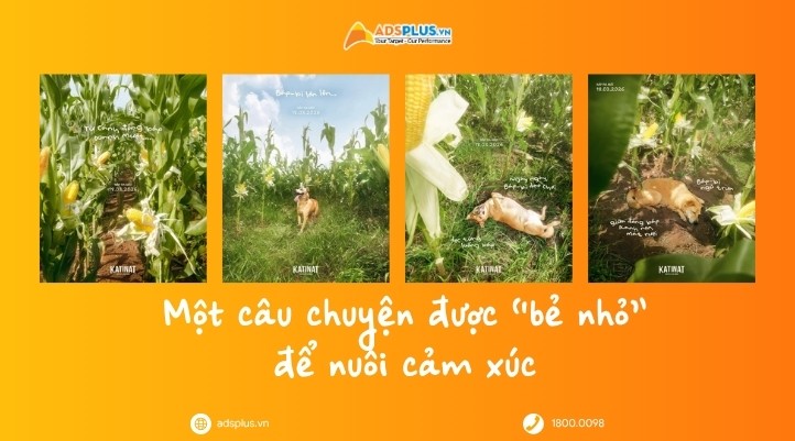 Bắp-bi: Từ chú chó dễ thương đến chiến lược storytelling “đa điểm chạm” của KATINAT