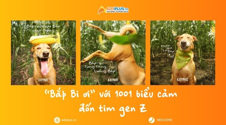 Bắp-bi: Từ chú chó dễ thương đến chiến lược storytelling “đa điểm chạm” của KATINAT