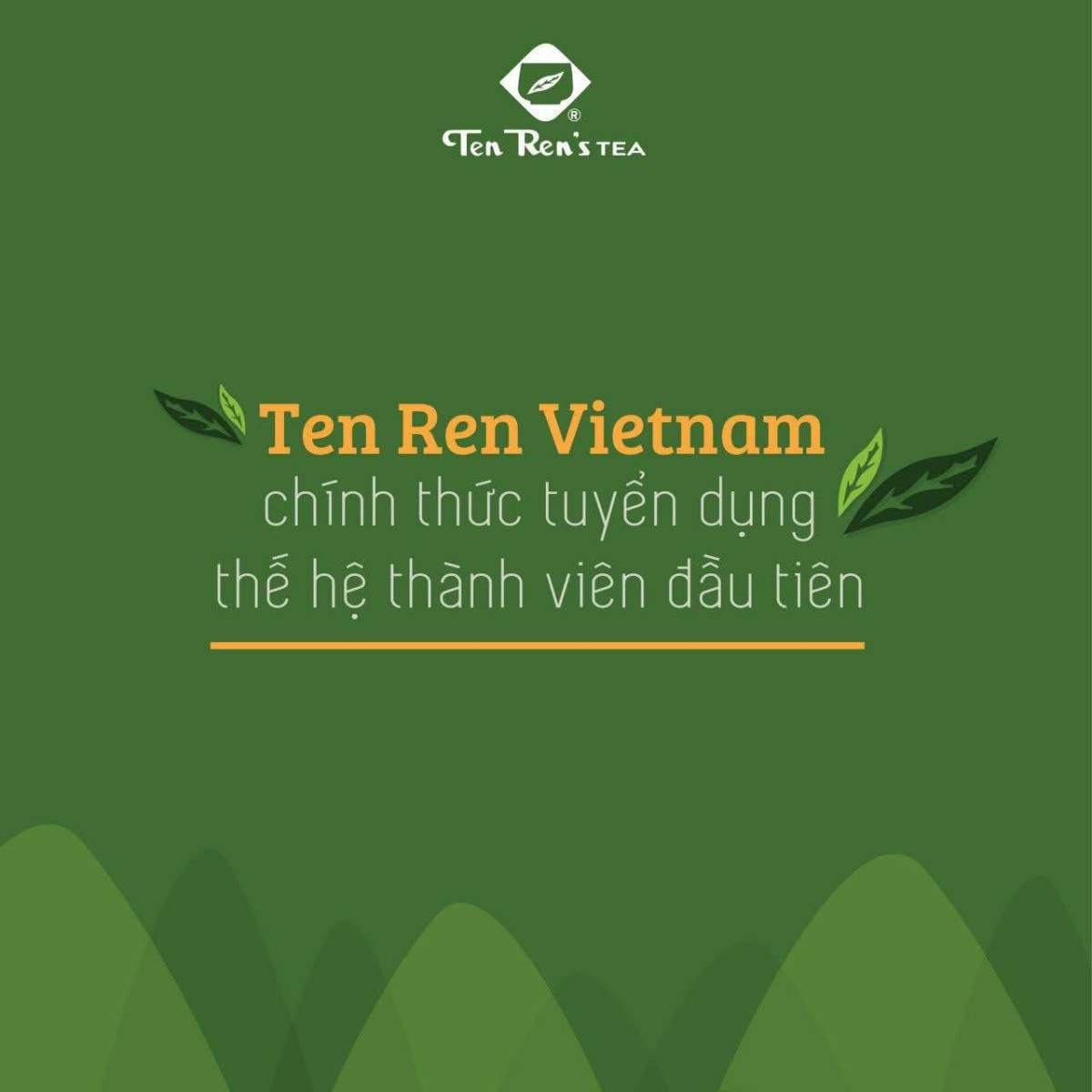 Brand Updates W12-13/2026: Sprite làm mới bộ nhận diện thương hiệu, Coolmate khai trương cửa hàng bán lẻ đầu tiên