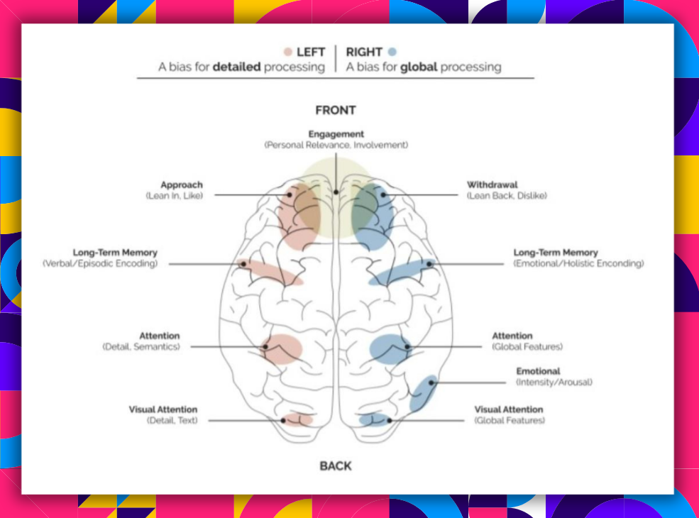 Neuromarketing #4: Khoa học thần kinh nói gì về sức ảnh hưởng của Influencer?