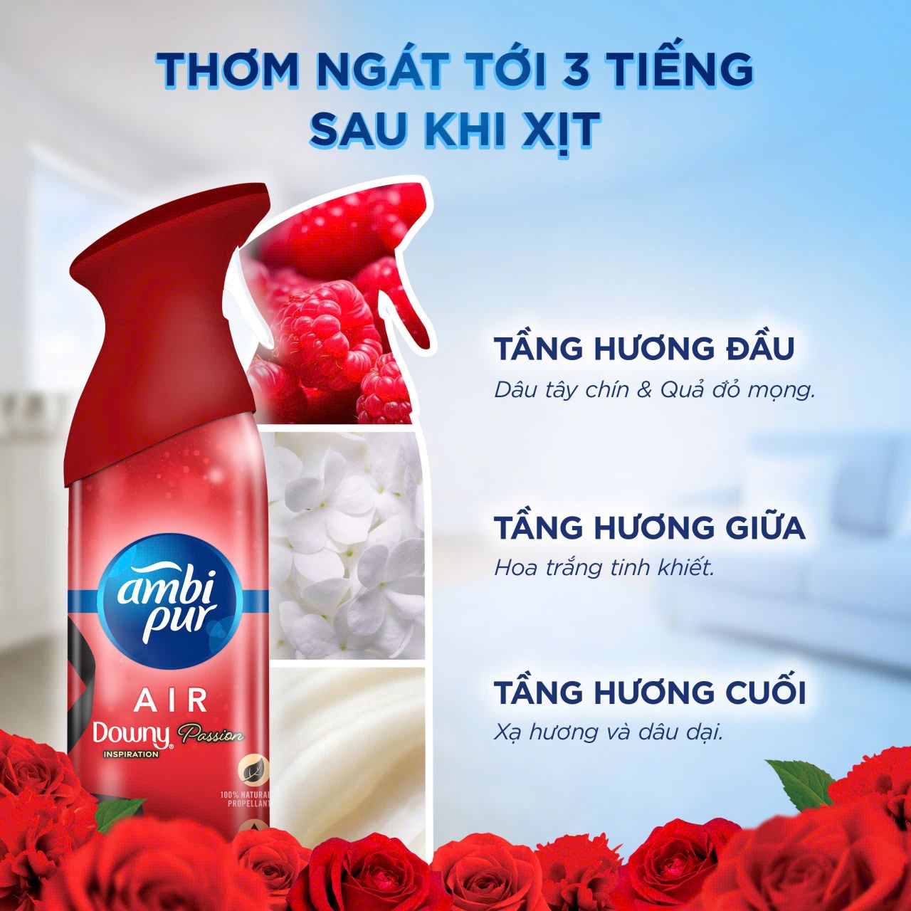 Một bước khử mùi đơn giản thay đổi “cuộc chơi” dọn nhà