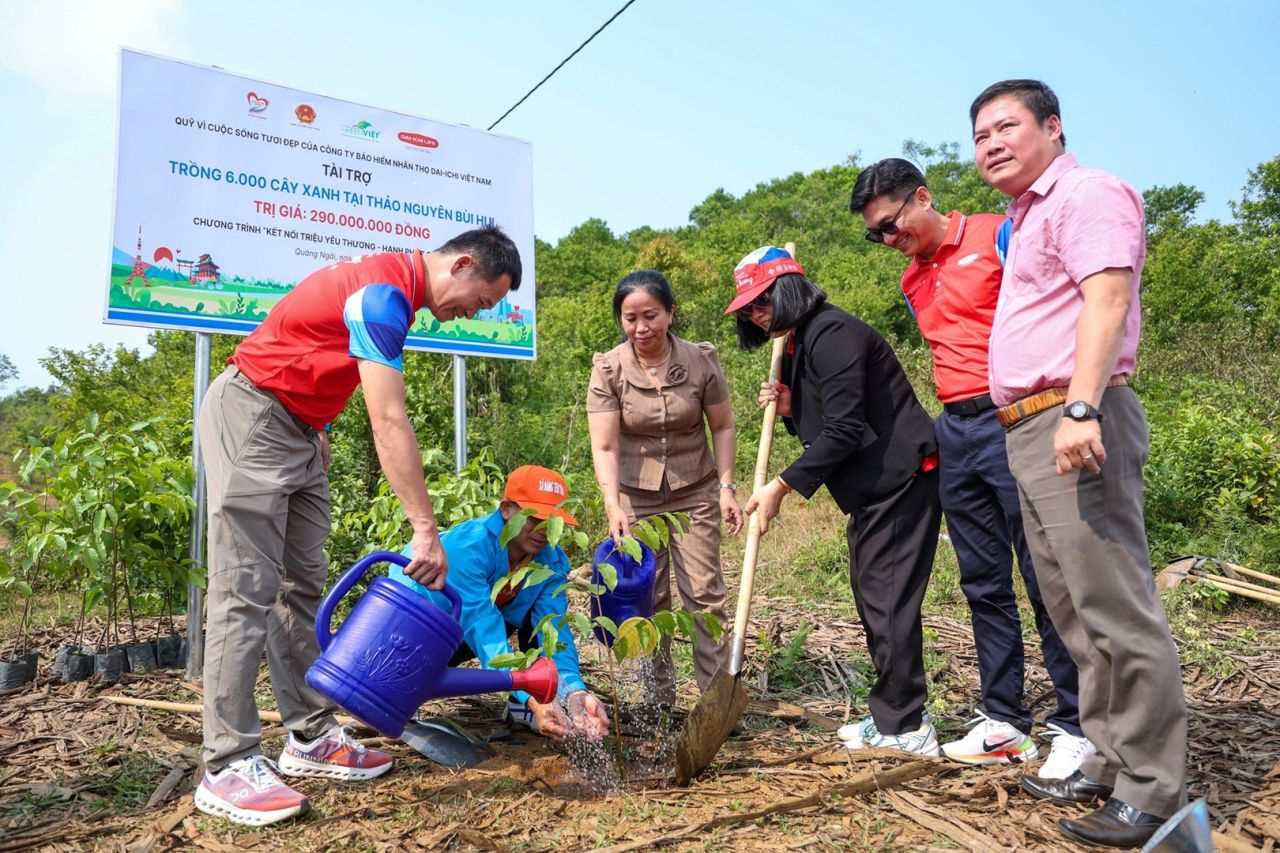 Dai-ichi Life Việt Nam trồng 6.000 cây xanh tại Thảo nguyên Bùi Hui, tỉnh Quảng Ngãi